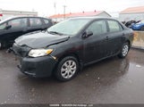 Toyota Corolla Ce 2T1BU4EE7AC403795 fotografie