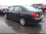 Toyota Corolla Ce 2T1BU4EE7AC403795 fotografie