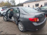 Toyota Corolla Ce 2T1BU4EE1AC462082 fotografie