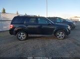 Ford Escape Limited 1FMCU94G59KC40185 снимка