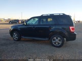 Ford Escape Limited 1FMCU94G59KC40185 снимка