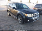 Ford Escape Limited 1FMCU94G59KC40185 снимка
