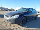 Honda Accord Lx 1HGCM564X5A806133 photo