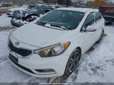 Kia Forte 2.0L Ex/2.0L Sx KNAFX4A8XE5183934 fotografie
