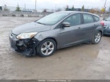 Ford Focus 1FADP3K24DL356717 снимка