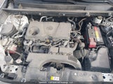 Toyota Rav4 Xle 2T3R1RFV3MC154295 снимка