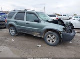 Ford Escape Xlt 1FMYU93197KA81588 снимка