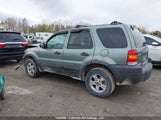 Ford Escape Xlt 1FMYU93197KA81588 снимка