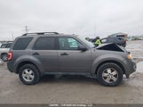 Ford Escape Xlt 1FMCU0D78BKB76595 fotografie