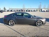Acura Tl 19UUA96559A801196 снимка