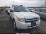 Ford Escape Xlt 1FMCU0DG7BKA10911 снимка