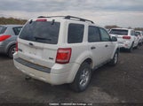 Ford Escape Xlt 1FMCU0DG7BKA10911 снимка