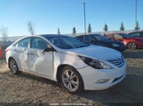 Hyundai Sonata Limited 5NPEC4AC2CH353361 снимка