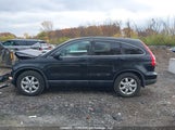Honda Cr-V Exl 5J6RE487X8L813304 fotografie