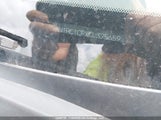 Nissan Versa 1.8 Sl 3N1BC1CPXCL375659 снимка