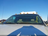 Ford F-550 Chassis Lariat/Xl/Xlt 1FDAX57P66EB90555 снимка