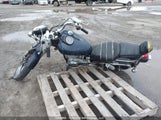 Suzuki Ls650 JS1NP41A2L2100023 photo