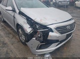 Hyundai Sonata Gl 5NPE24AF3HH536109 снимка