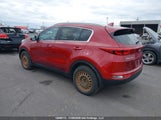 Kia Sportage KNDPMCACXH7055569 снимка