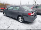 Toyota Corolla S/Le 2T1BU4EEXDC046665 fotografie