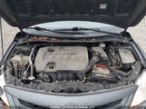 Toyota Corolla S/Le 2T1BU4EE8BC689898 снимка