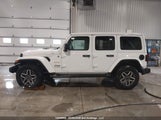 Jeep Wrangler Sahara 1C4PJXEGXRW334850 fotografie