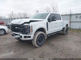 Ford F-350 Xlt 1FT8W3BN0PEE09236 снимка