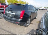 Cadillac Srx Performance Collection 3GYFNEEY4BS556583 снимка