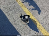 Toyota Prius C Technology JTDKDTB38F1584494 снимка