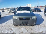 Ford Escape Xlt 1FMYU93127KA00415 снимка