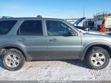 Ford Escape Xlt 1FMYU93127KA00415 снимка