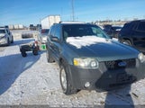 Ford Escape Xlt 1FMYU93127KA00415 снимка