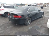 Acura Tsx JH4CL96815C802339 снимка