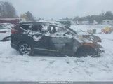 Honda Cr-V Touring 2HKRW2H99HH103002 снимка