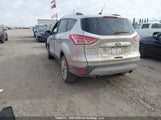 Ford Escape Se 1FMCU9G9XFUC50434 снимка
