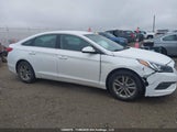 Hyundai Sonata Gl 5NPE24AF9GH274501 снимка