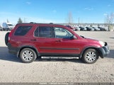 Honda Cr-V Lx JHLRD78526C804847 снимка