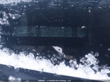 Hyundai Elantra 5NPDH4AE7DH431665 снимка