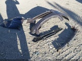 Honda Accord Se 1HGCP2F62BA800605 снимка