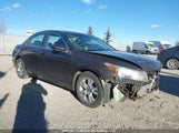 Honda Accord Se 1HGCP2F62BA800605 снимка