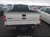 Ford F150 1FTMF1CM2EKD85576 photo