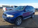 BMW X5 3.0I 5UXFA13516LY32196 снимка