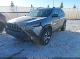 Jeep Cherokee Trailhawk 1C4PJMBS6GW168556 снимка