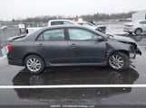 Toyota Corolla S/Le/Xle 2T1BU4EE7AC211681 снимка