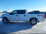 Ford F-150 Xlt 1FTEW1EG3GFC85610 снимка