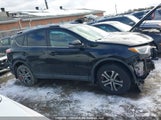 Toyota Rav4 Le 2T3ZFREV2GW301874 снимка