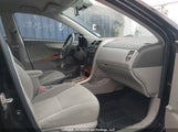 Toyota Corolla Le 2T1BU4EE2AC191971 fotografie