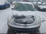 Volkswagen New Beetle 3VWRW2AG8AM022207 снимка