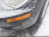 Volkswagen New Beetle 3VWRW2AG8AM022207 снимка