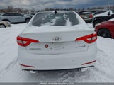 Hyundai Sonata Sport/Limited 5NPE34AB0GH345160 fotografie